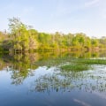 The Role of Political Programs in Addressing Environmental Concerns in Orange County, Florida