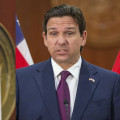 The Government's Role in Implementing Political Programs in Orange County, Florida
