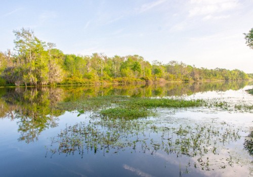 The Role of Political Programs in Addressing Environmental Concerns in Orange County, Florida