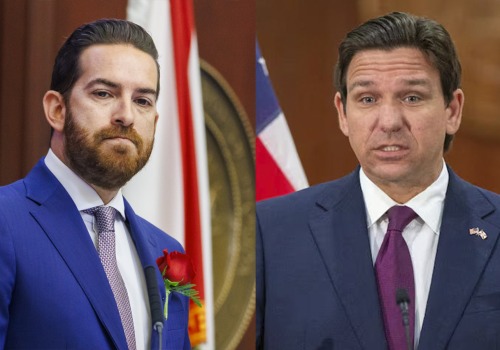 The Government's Role in Implementing Political Programs in Orange County, Florida